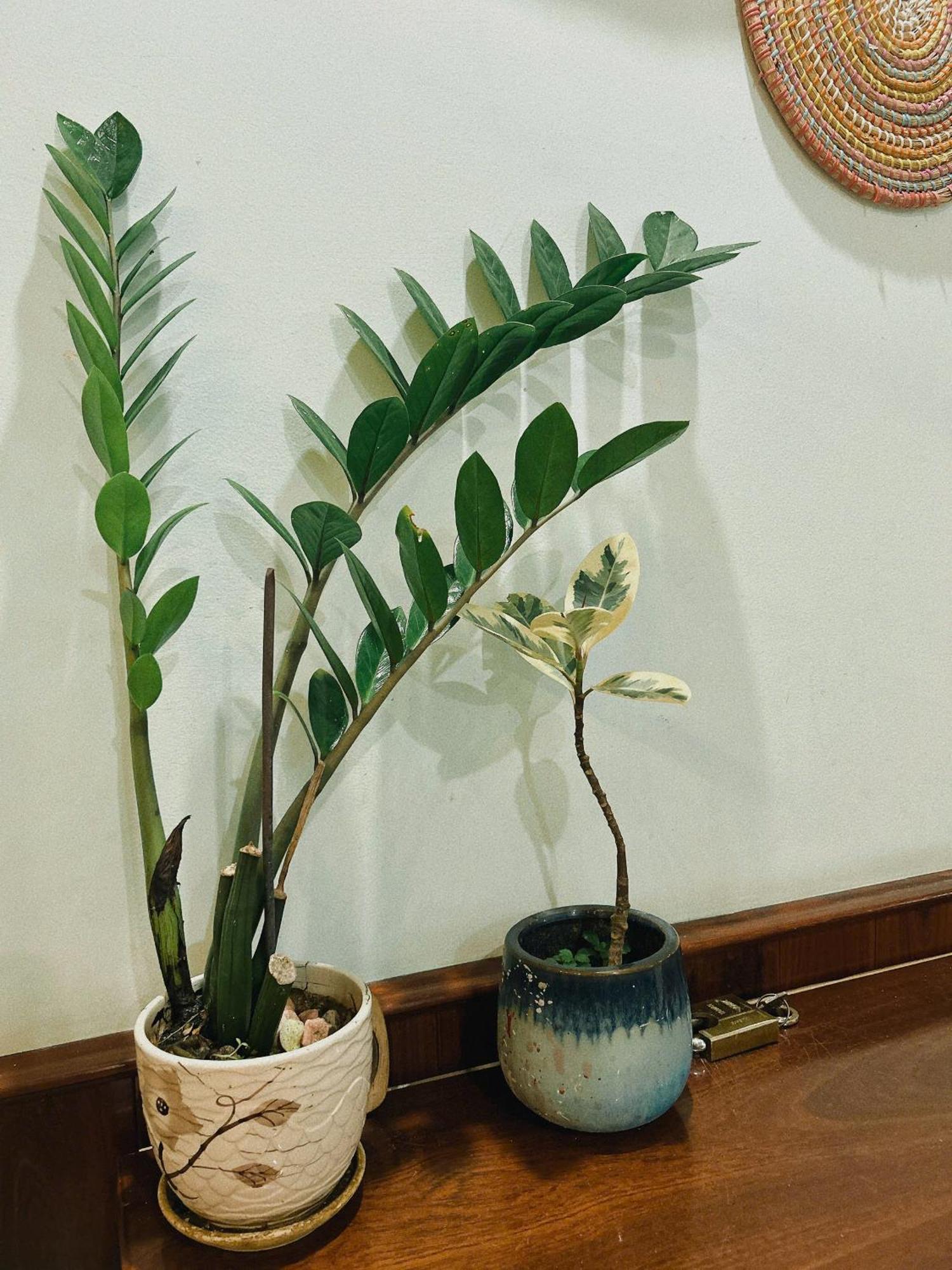 Nang Homestay Tuy Hòa Kültér fotó